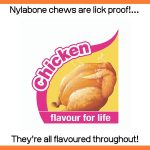 Nylabone