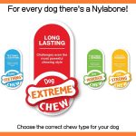 Nylabone