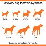Nylabone