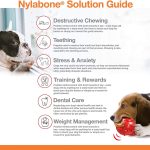 Nylabone