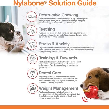 Nylabone