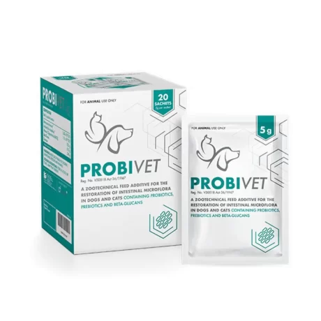 Probivet
